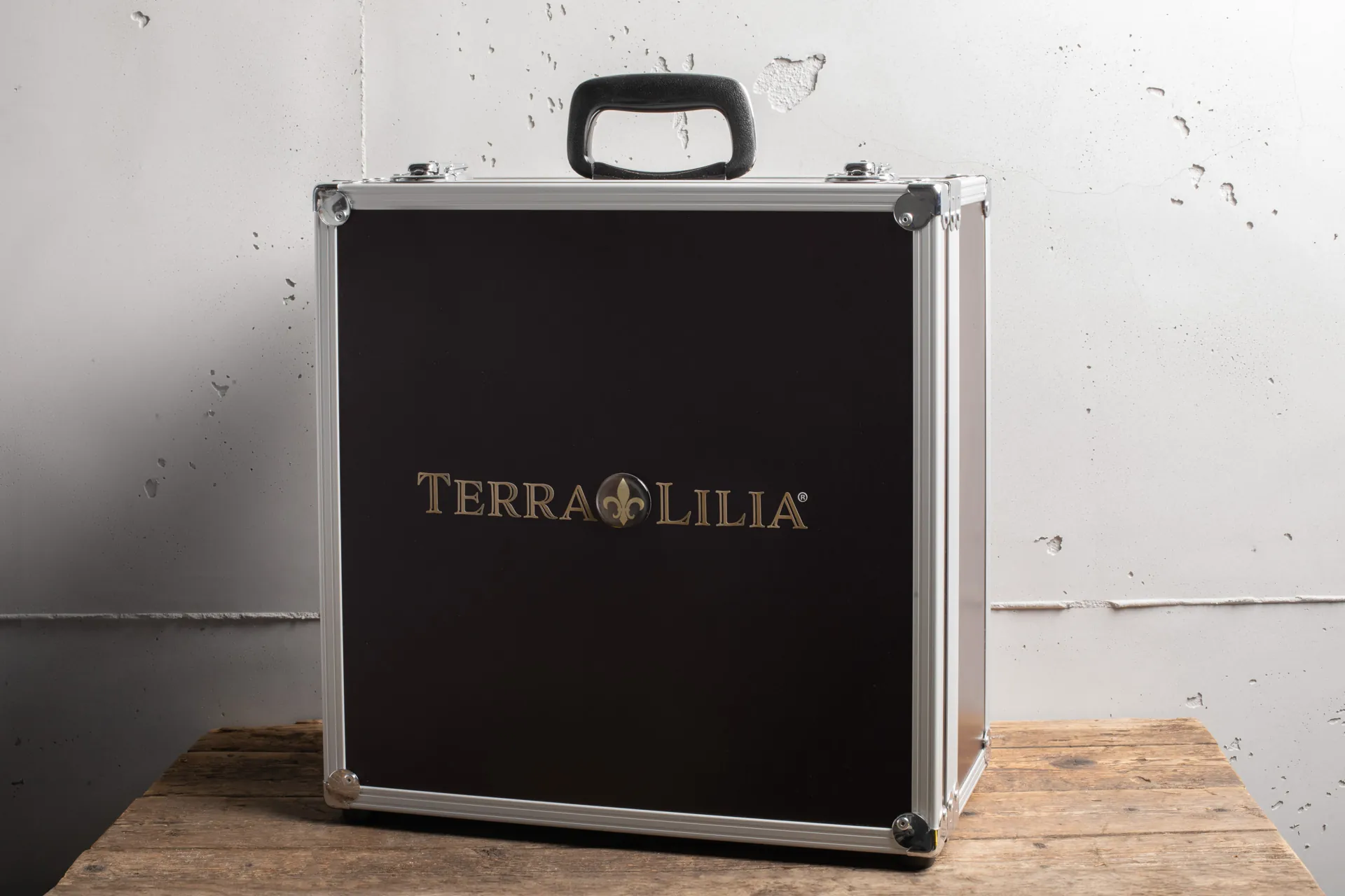 Geöffneter Terra Lilia Musterkoffer mit Farbmustern